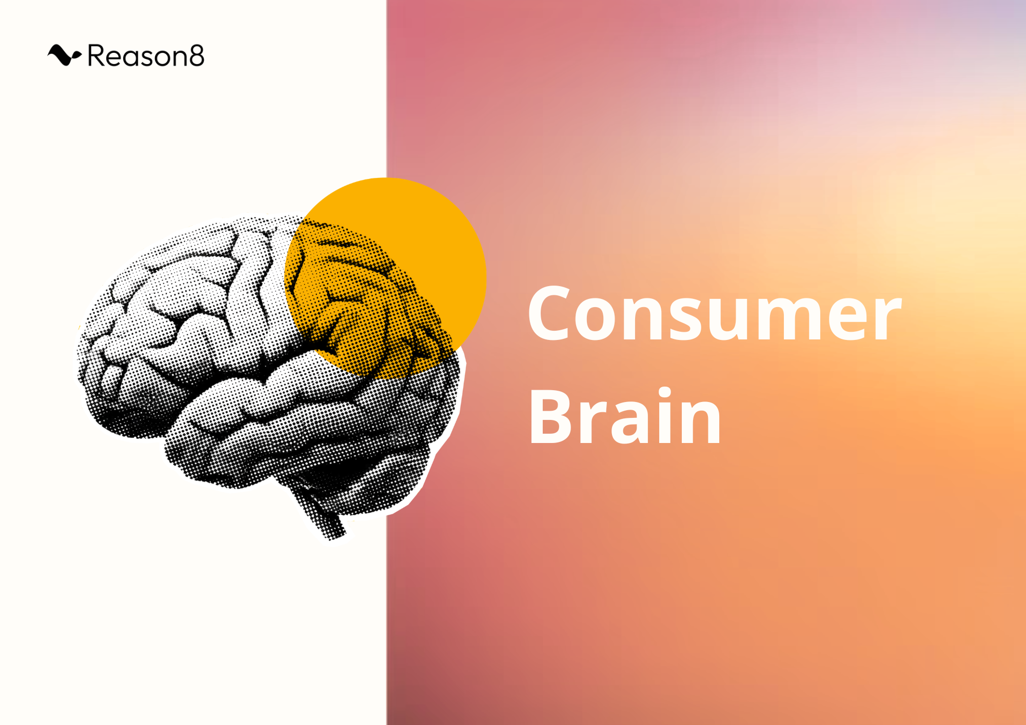 Consumer Brain — halftone brain illustration with an orange accent on a warm gradient background